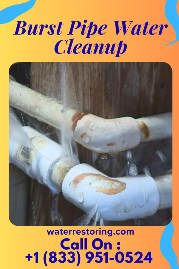 Burst Pipe Water Cleanup in Modoc, IN