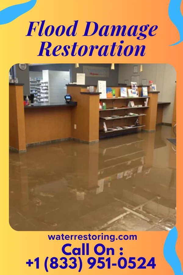 Flood Damage Restoration in Modoc, IN