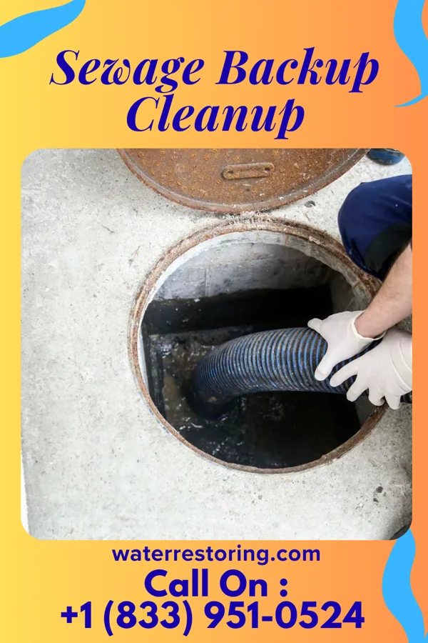 Sewage Backup Cleanup in Modoc, IN